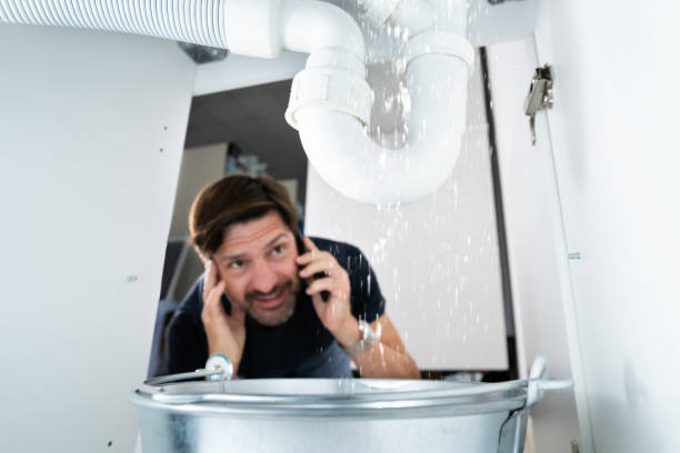 Best Emergency Plumbing Repair  in Cambridge, IL