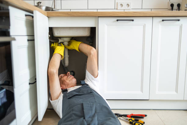 Best Sprinkler Systems  in Cambridge, IL