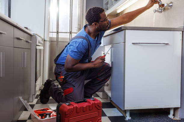 Best Same-Day Plumbing Service  in Cambridge, IL