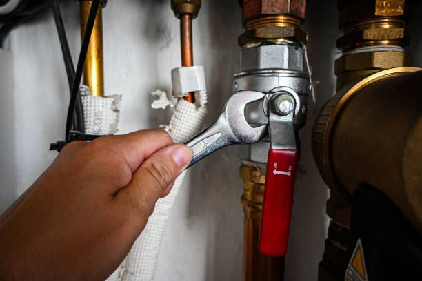 Best Drain Cleaning Services  in Cambridge, IL